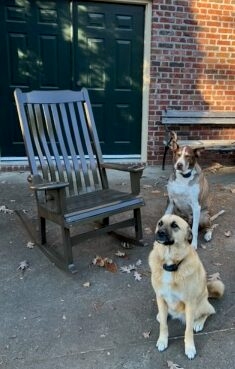 Custom-fit rocking chair on front porch with two dogs by Woodworking by John